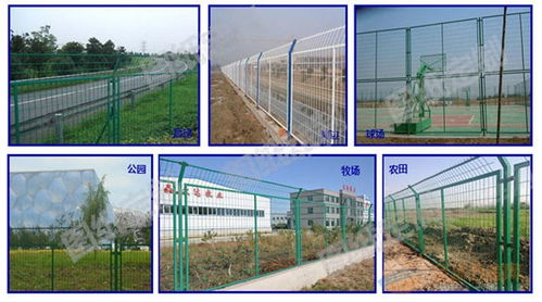 海口電焊網廠在工程管理中的角色 從公路護欄規格到三亞綠化隔離網價格解析