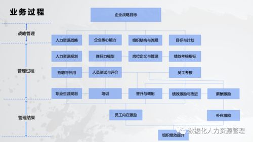 數(shù)據(jù)產(chǎn)品在人力資源管理的實(shí)踐與思考 一、在線數(shù)據(jù)處理與交易處理業(yè)務(wù)